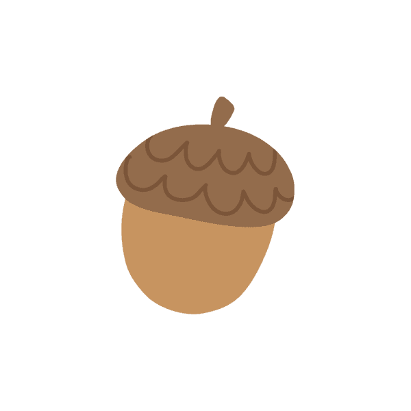 acorn