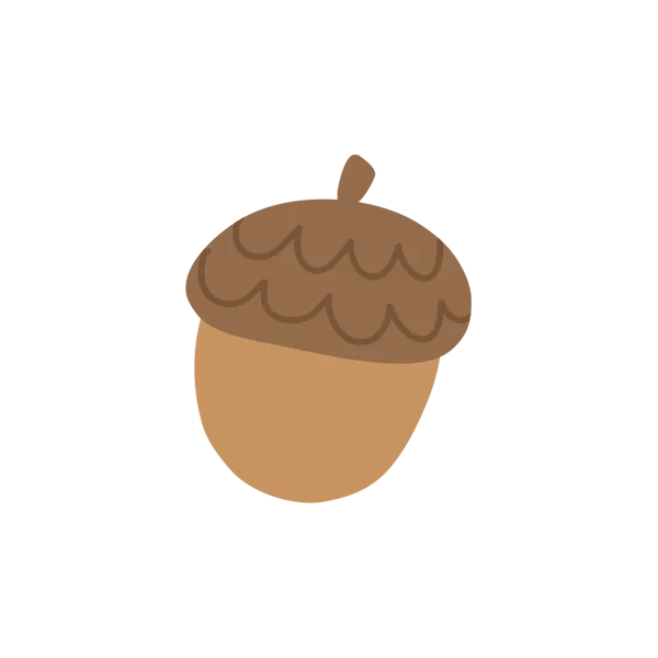 acorn
