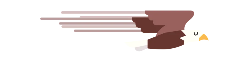 Top of Page